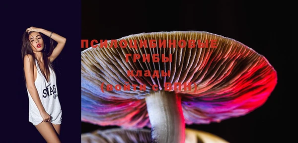 spice Каменка