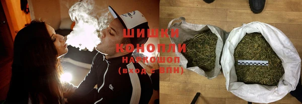 spice Каменка