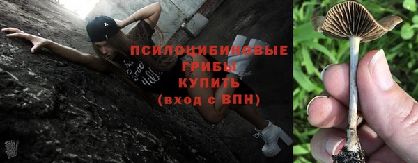 мяу мяу мука Каменногорск