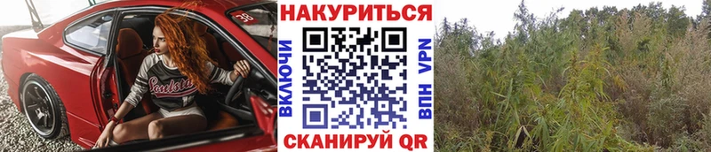 Купить закладки  Находка  МАРИХУАНА LSD WEED 